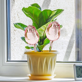 Kigotwin pink glass plant waterer insert keeps indoor and outdoor pots evenly hydrated.