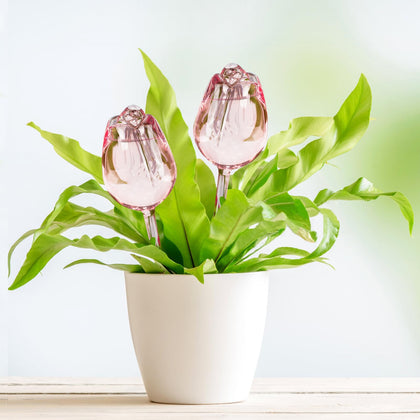 Kigotwin tulips glass self-watering globes pink in 2-pack for vacation plant hydration.
