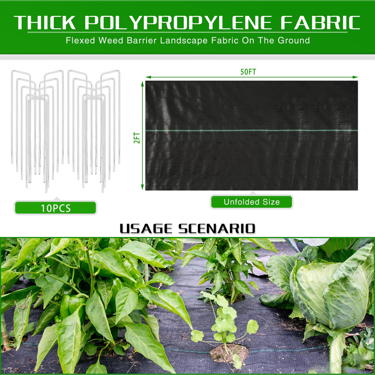 Kijamilee wide and narrow size options fit gardens, beds, or pathways.