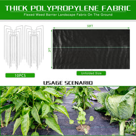 Kijamilee wide and narrow size options fit gardens, beds, or pathways.