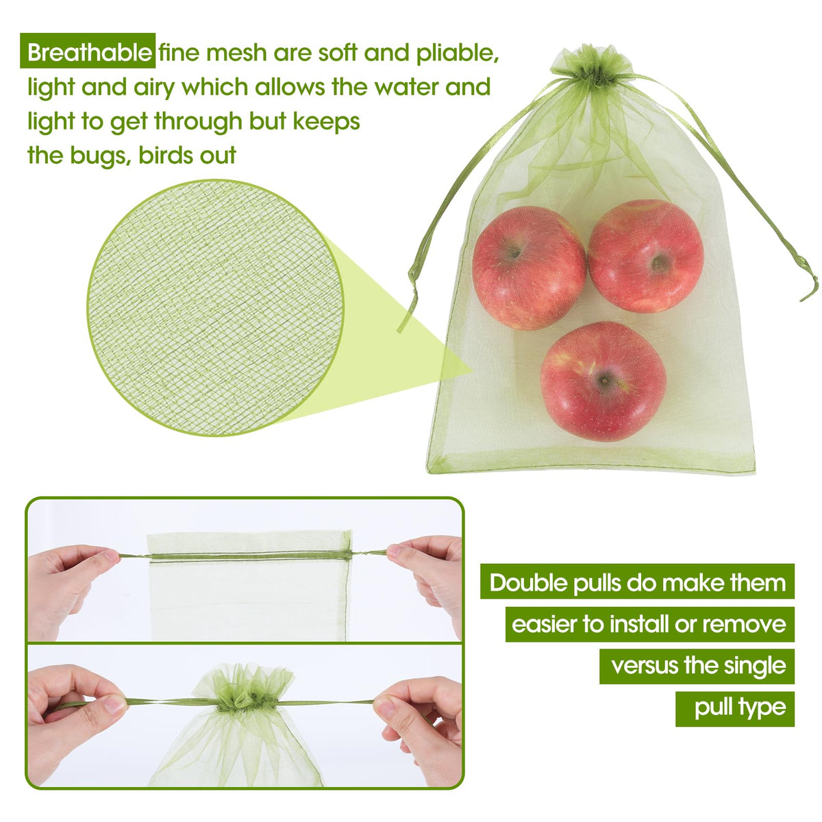 Kikhope 9.5x13.5 fruit protection bag with larger fruit.