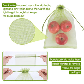 Kikhope 9.5x13.5 fruit protection bag with larger fruit.