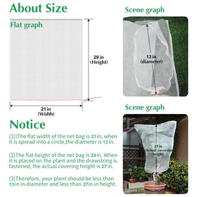 Kikhope 10x6 bag guards growing fruit from pests with breathable mesh