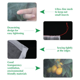 Kikhope 12x8 netting protects mid size fruits while letting sun and air through
