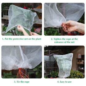Kikhope 14x10 net bag shields larger fruits from birds and insects
