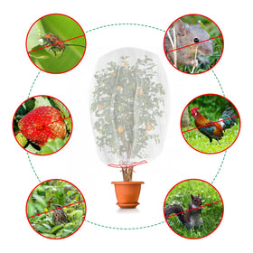 Kikhope 18x12 bag guards fruit and supports healthy ripening