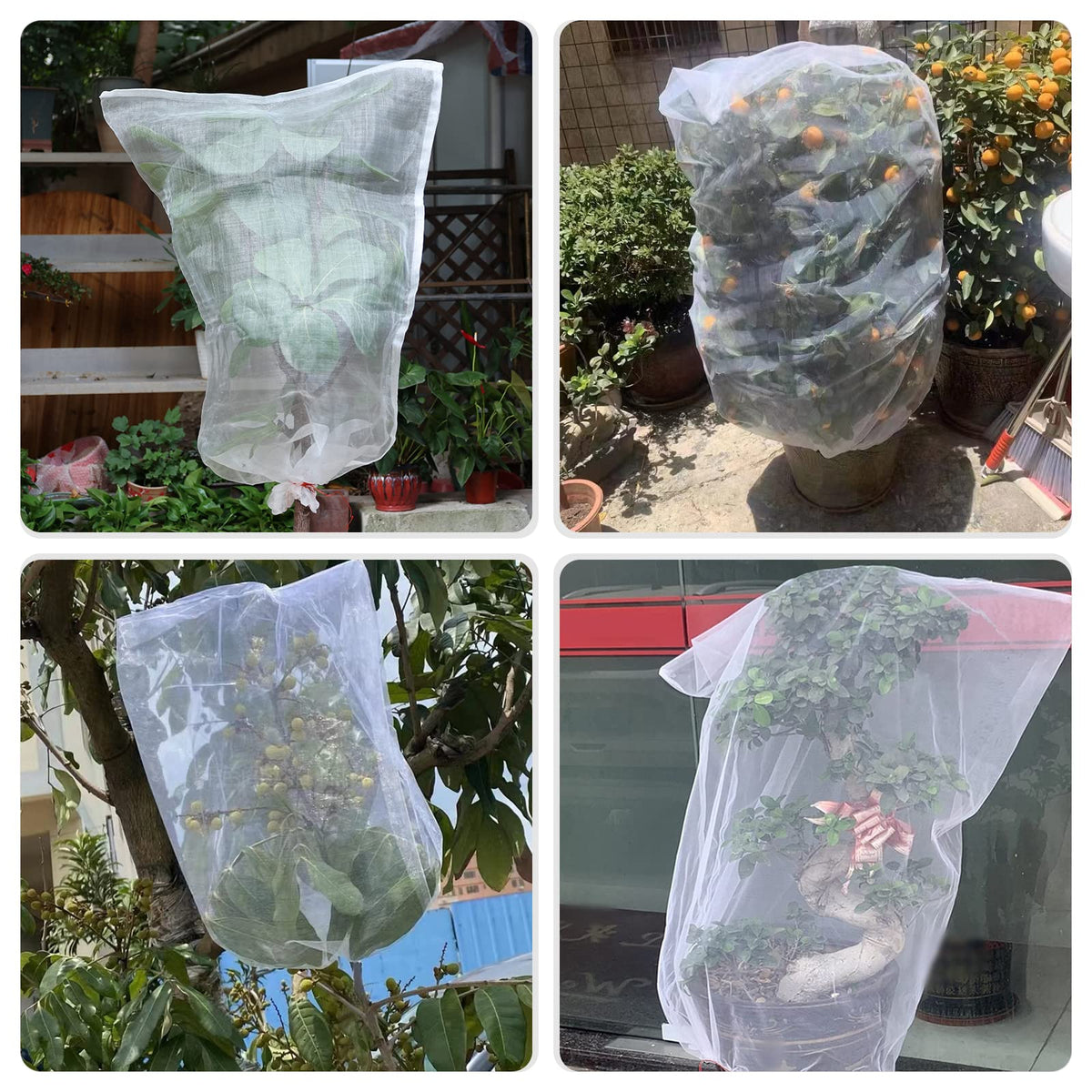 Kikhope 21x14 mesh bag protects big fruits from birds and small pests