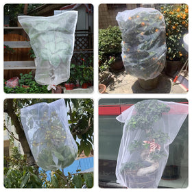 Kikhope 21x14 mesh bag protects big fruits from birds and small pests