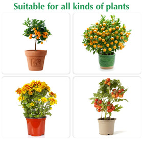 Kikhope 29x21 netting shields large plants from birds during harvest