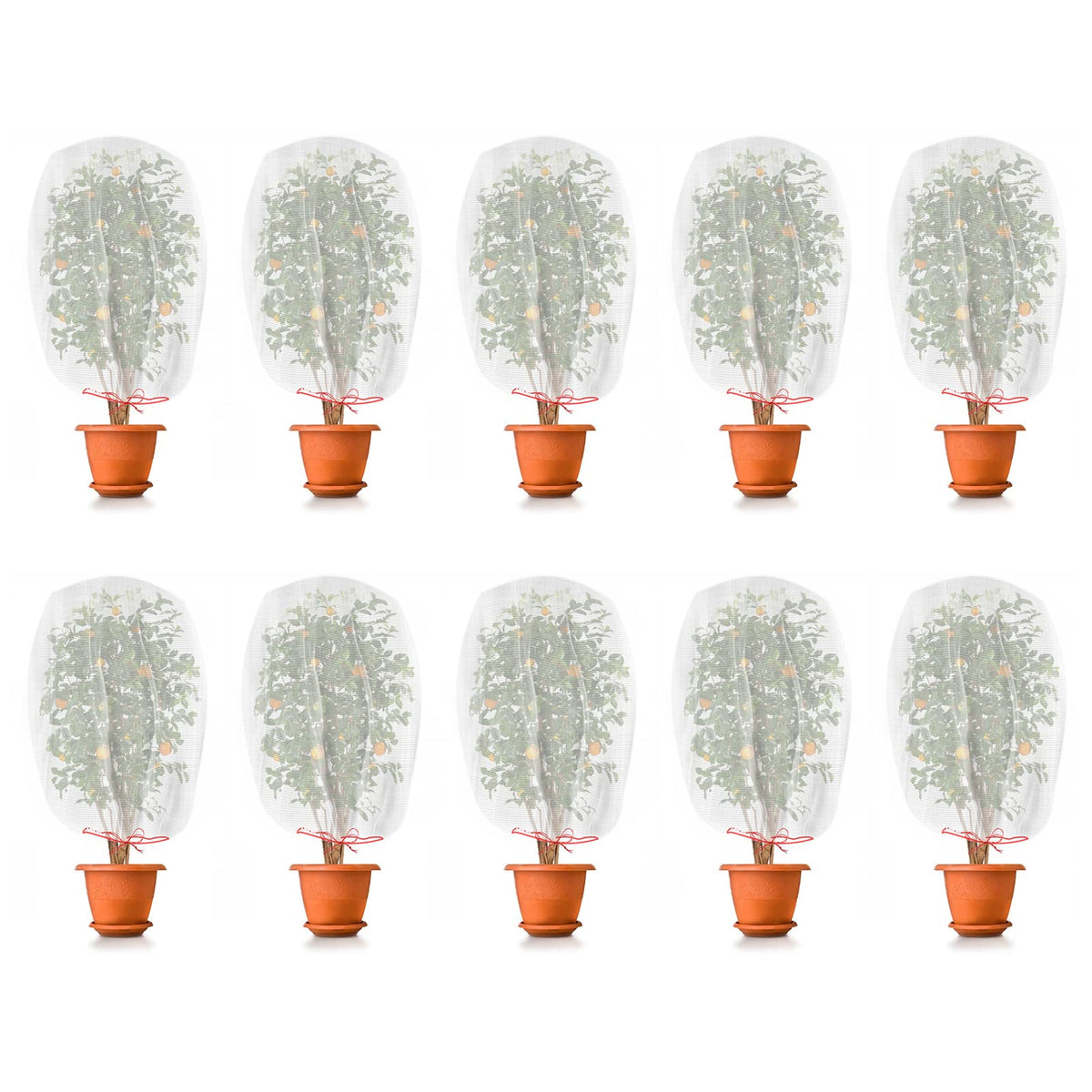 Kikhope fruit protection netting 6x4 shields small fruits from insects and birds