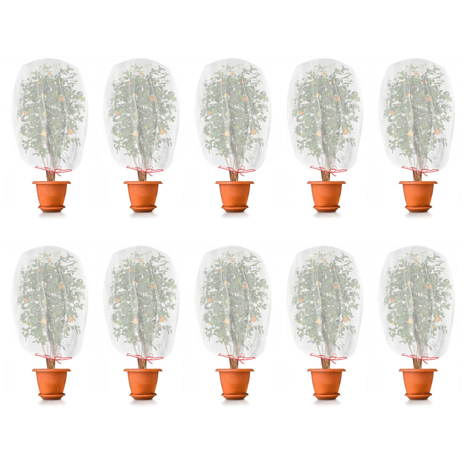 Kikhope fruit protection netting 6x4 shields small fruits from insects and birds