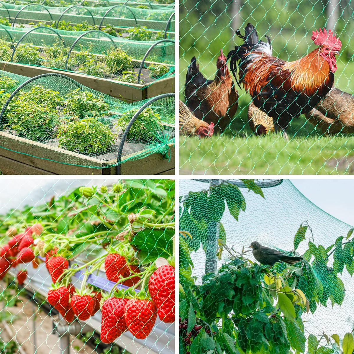 Kikhope fruit and vegetable protection covering berry bushes