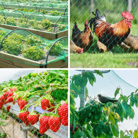 Kikhope fruit and vegetable protection covering berry bushes