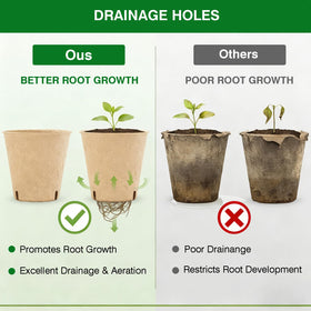 Kimdozee biodegradable seedling pots support sustainable gardening from start to soil.