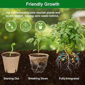 Kimdozee mini transplanting tools help move seedlings without disturbing roots.