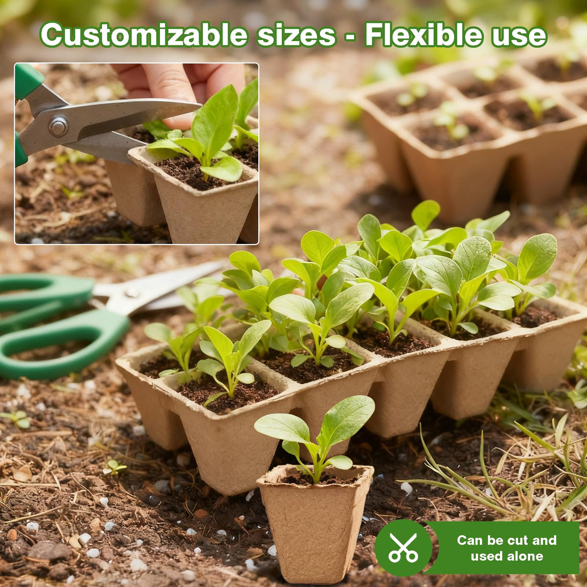 Kimdozee 100 plant labels keep seed plans organized and clear