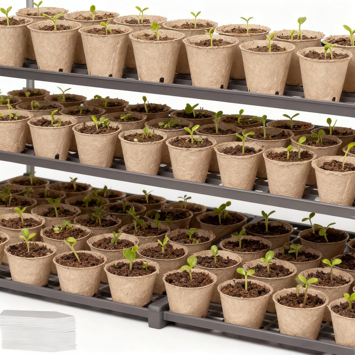 Kimdozee ready for greenhouses and home gardens with reliable drainage.