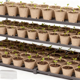 Kimdozee ready for greenhouses and home gardens with reliable drainage.