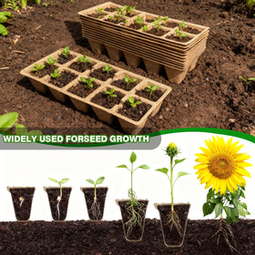 Kimdozee transplant tools pair for gentle repotting and precise handling