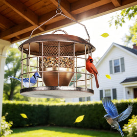 KIMERSE sparrows and finches feed in a safe space