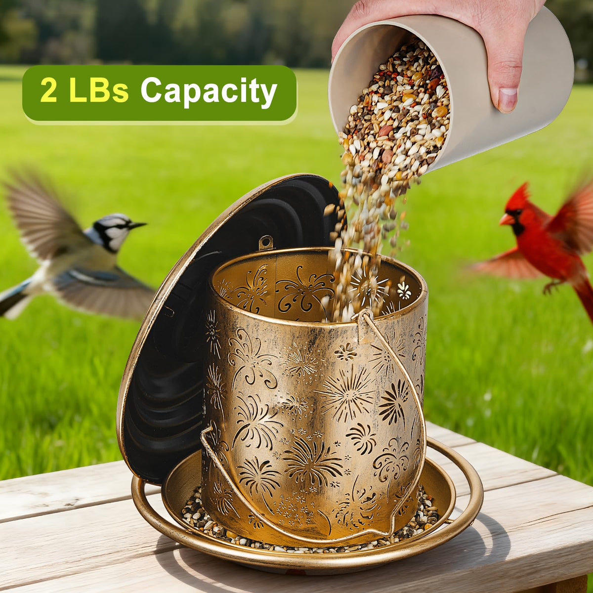 KIMERSE two-pound capacity feeds multiple visits from backyard birds.