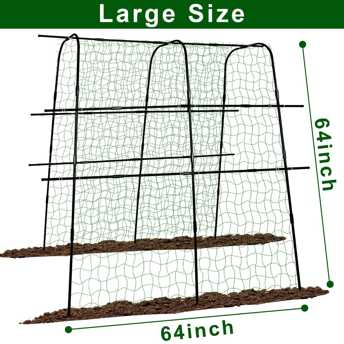 Kimkusia bean trellis arch keeps beans off soil for healthier fruit.