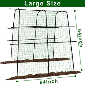 Kimkusia bean trellis arch keeps beans off soil for healthier fruit.