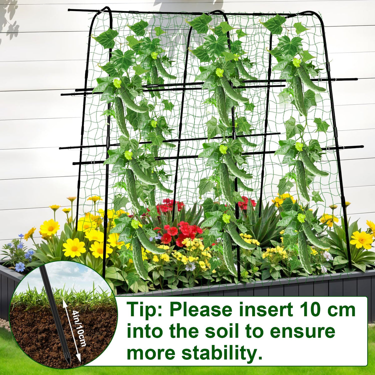 Kimkusia squash trellis arch helps sprawling plants stay organized.
