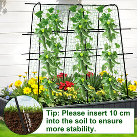 Kimkusia squash trellis arch helps sprawling plants stay organized.