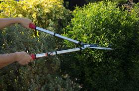 Blade notch enables cutting larger stems up to 25mm.