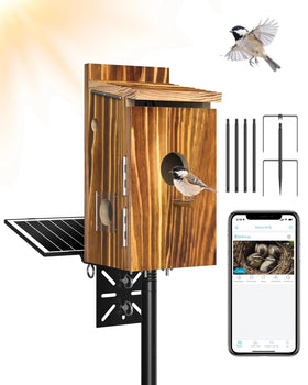 KinetCam bird house with camera on a tall pole for observing birds from afar.