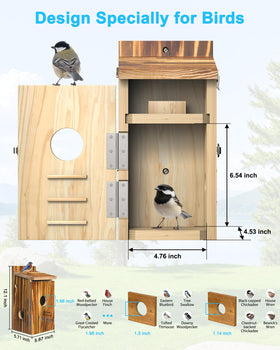 KinetCam garden setup captures natural bird behavior in a sunny outdoor space.