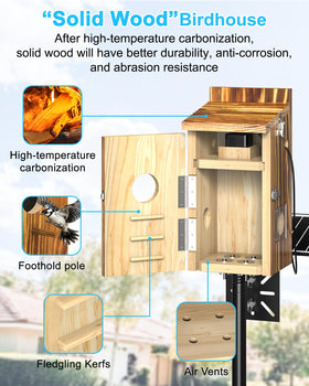 KinetCam no-light-pollution design preserves nesting calm and natural behavior.