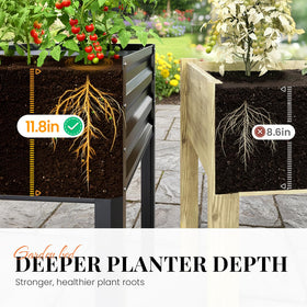KING BIRD deep 11.8-inch planter supports robust root growth.