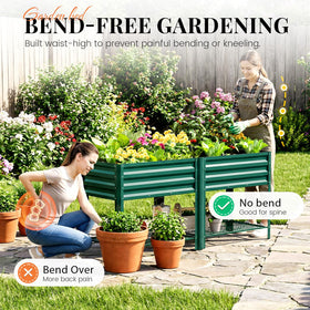 KING BIRD drainage holes and liner support healthy soil moisture without struggle.