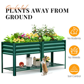 KING BIRD elevated height of 31.5 inches for comfortable gardening.