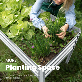 King Bird galvanized steel planter with legs for durable outdoor use and long life.