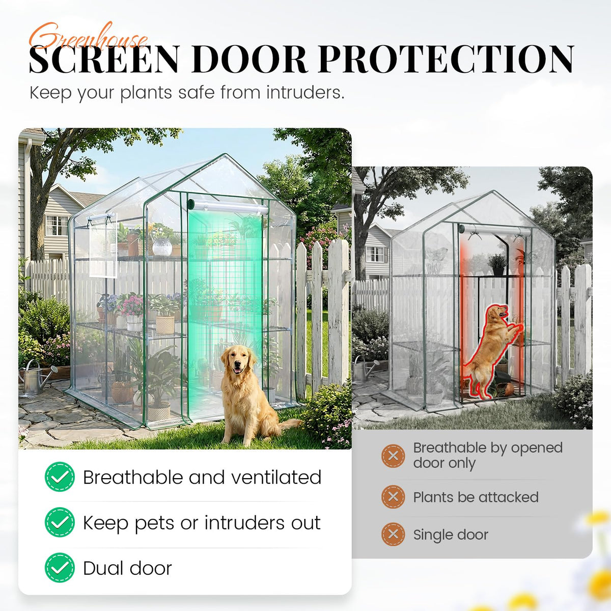 King Bird greenhouse mesh windows illustrate enhanced ventilation and climate control
