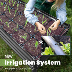 KING BIRD irrigation system demonstrates drip connections delivering water to roots.