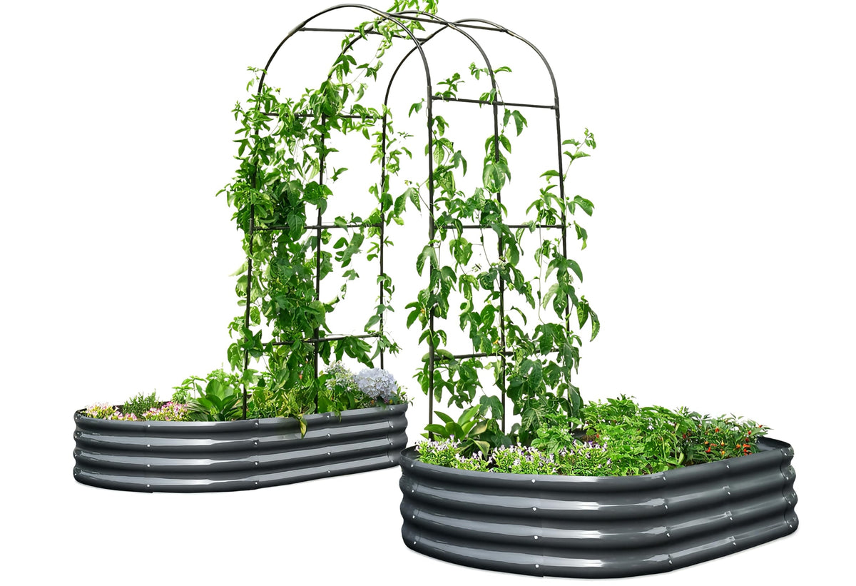 KING BIRD raised garden bed with arched trellis enables vertical planting for higher yields.