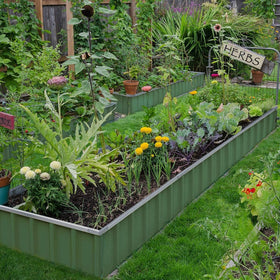KING BIRD raised garden bed green finish supports vegetables, flowers, herbs beautifully.