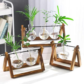 Kingbuy boho desk terrarium on a workspace display