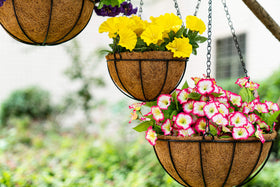 Kingbuy DIY decor vibe invites layering plants at varying heights.