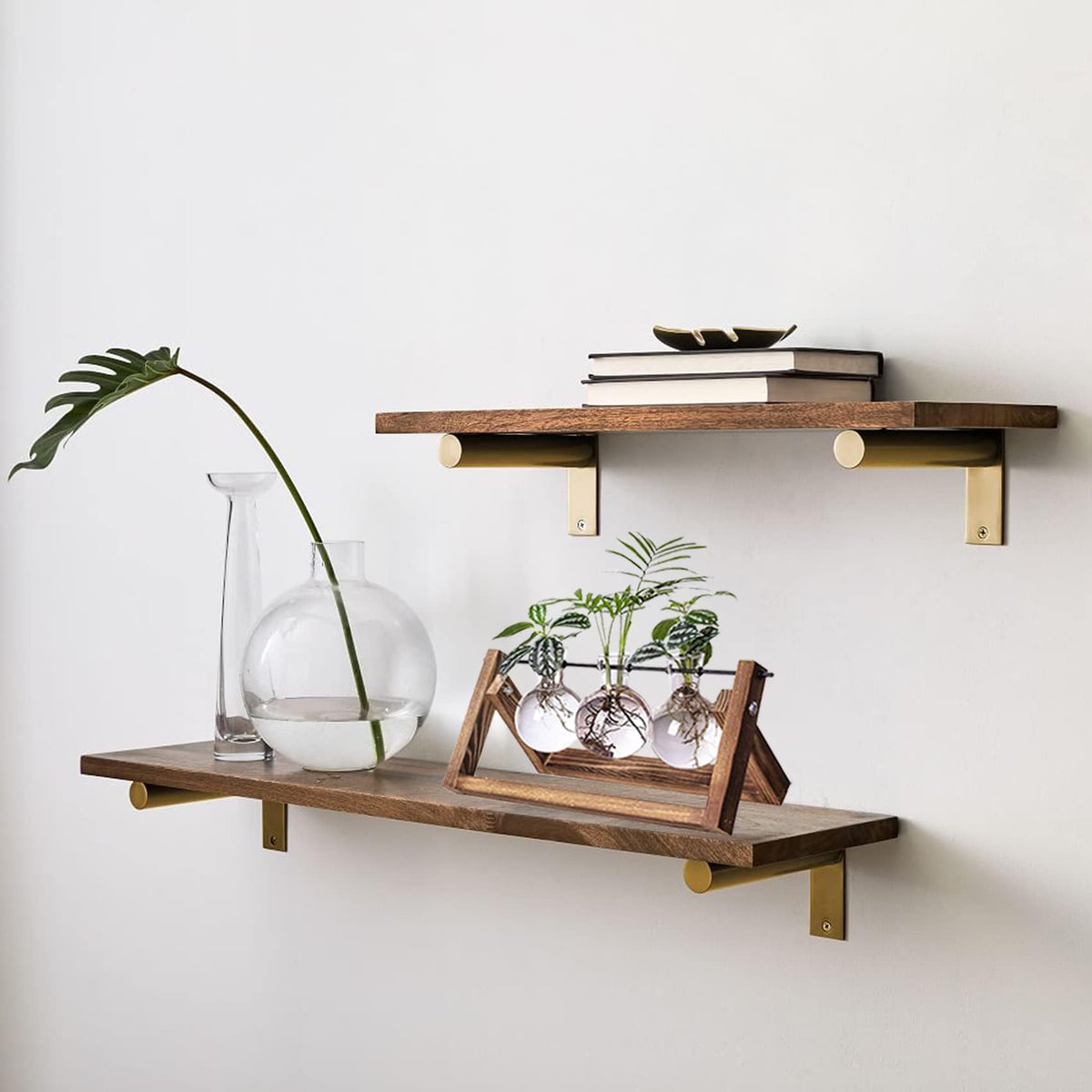 Kingbuy plant terrarium as a thoughtful gift for plant lovers