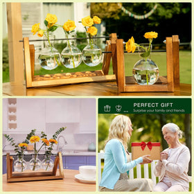 Kingbuy hydroponics friendly vases for compact plant setup