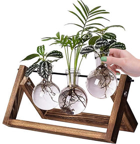 Kingbuy propagation stand compatible with vase replacement only