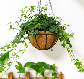 Rust-resistant wire frame from Kingbuy keeps outdoor planters looking new.