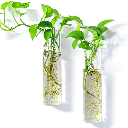 Kingbuy two-cylinder hanging glass tubes terrarium for compact hydroponic setups.