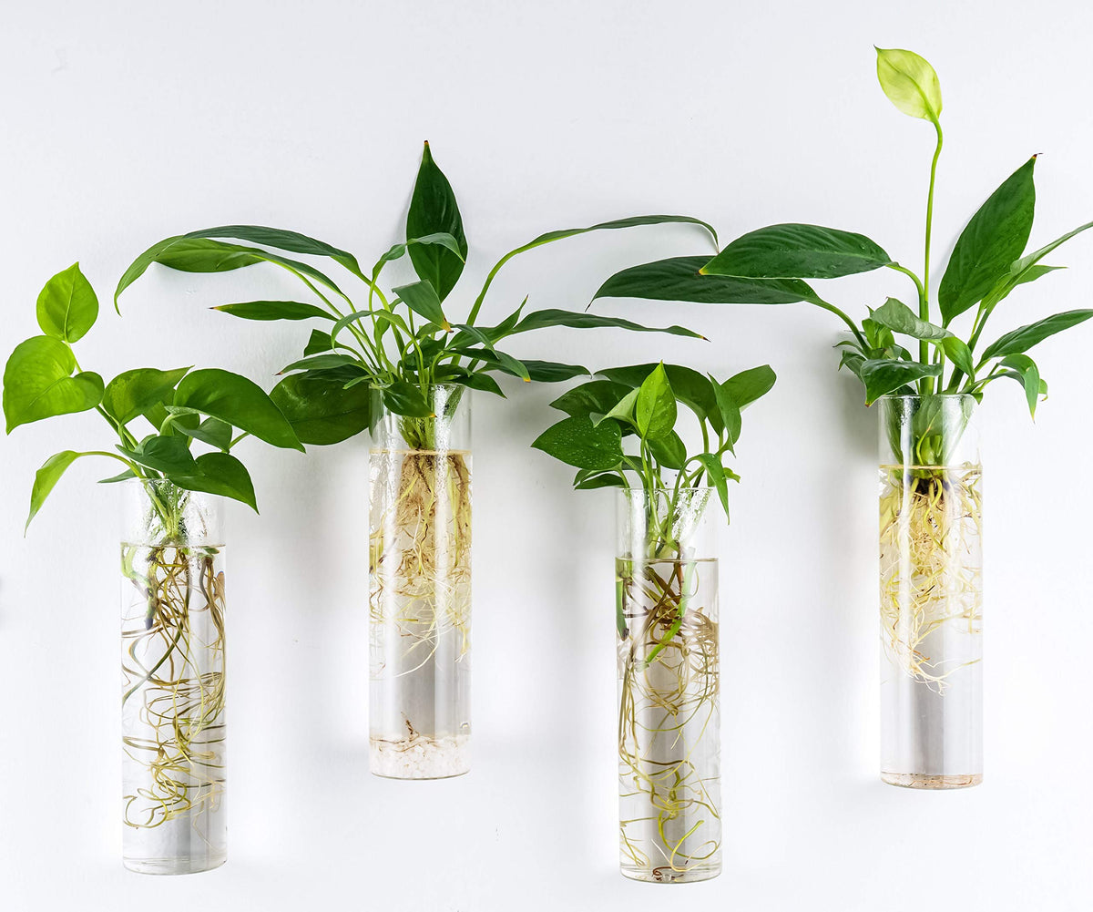 Kingbuy water-saving top hole design helps prevent overwatering.