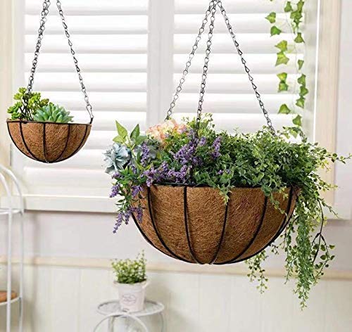 Kingbuy planter basket with coconut liner ready for vertical arrangements.